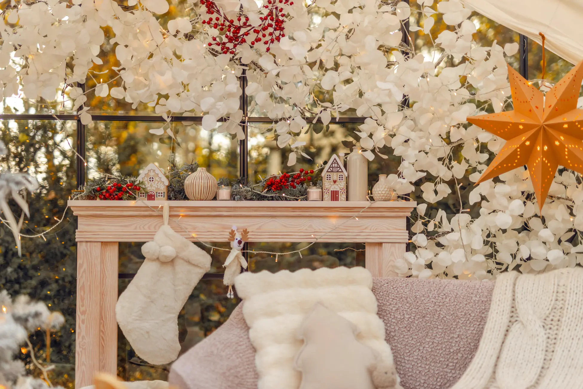 Szklarnia do zdjęć do wynajęcia Katowice