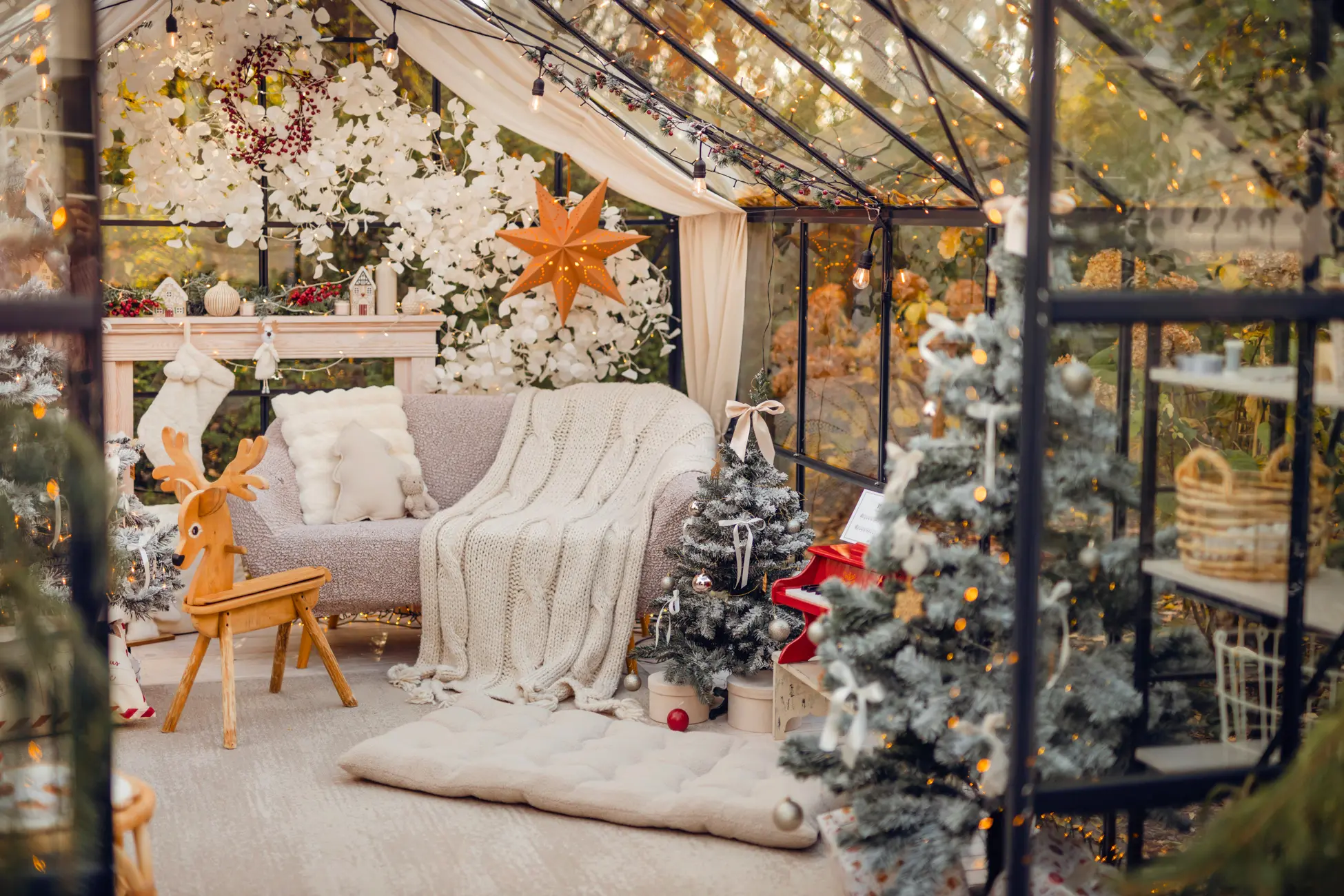 Szklarnia do zdjęć do wynajęcia Katowice